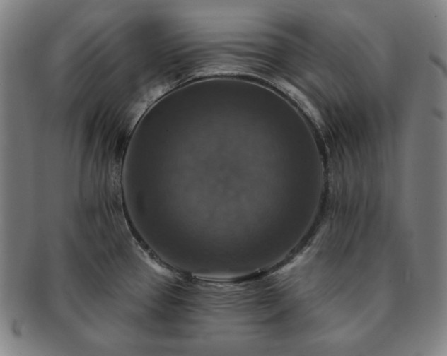 X0000091461337200708231308