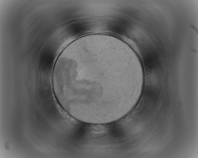X0000091461338200708231308