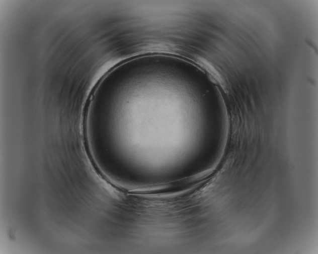 X0000091461339200708231308