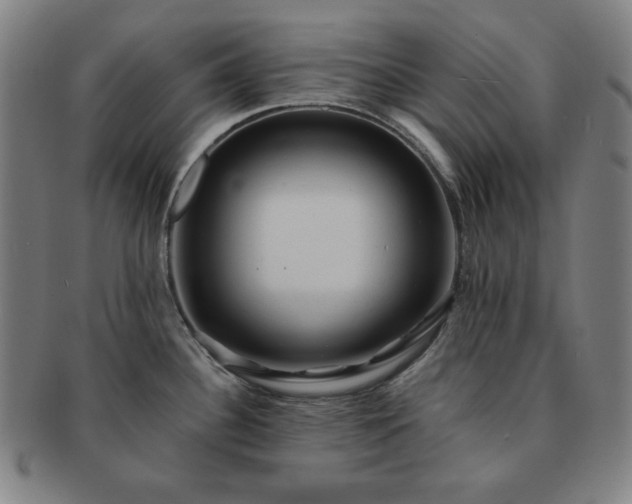 X0000091461340200708231308