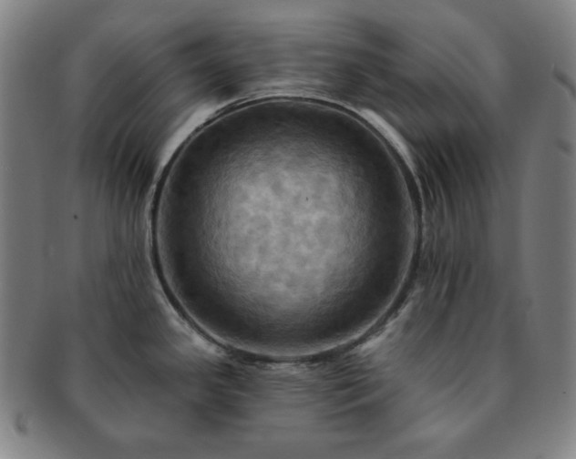 X0000091461341200708231308