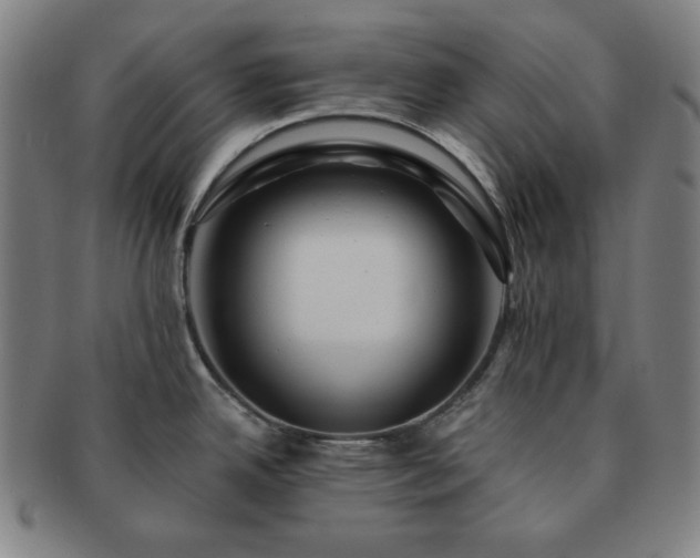 X0000091461342200708231308