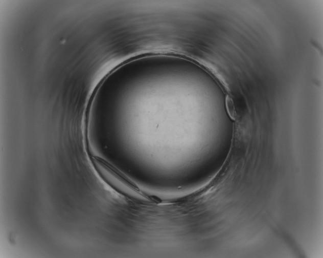 X0000091461343200708231308