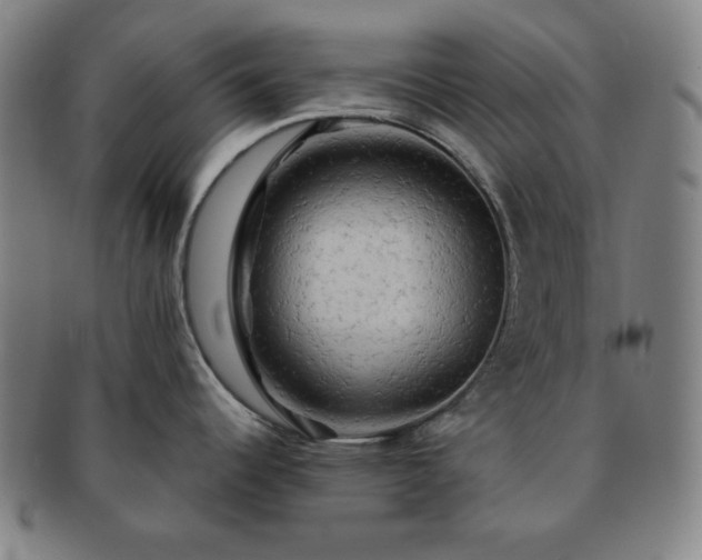 X0000091461344200708231308