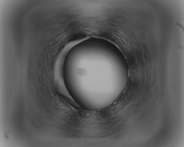 X0000091461345200708231308