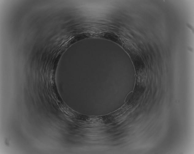 X0000091461346200708231308