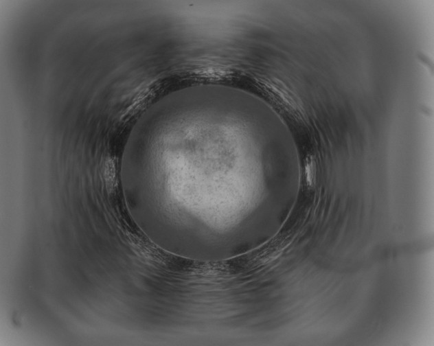 X0000091461347200708231308