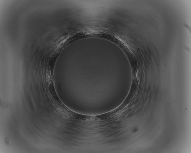 X0000091461348200708231308