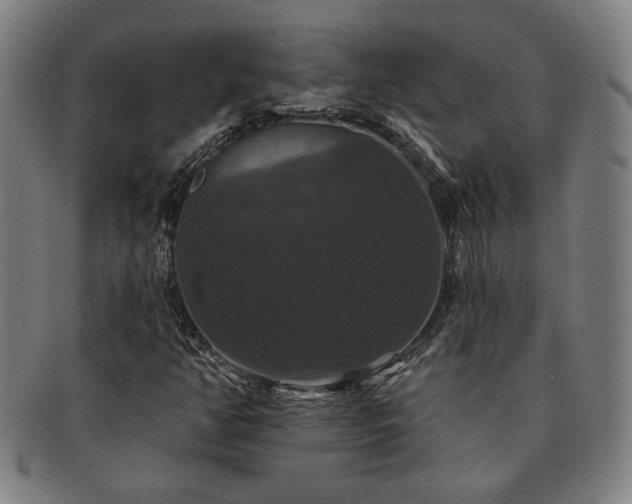 X0000091461350200708231308