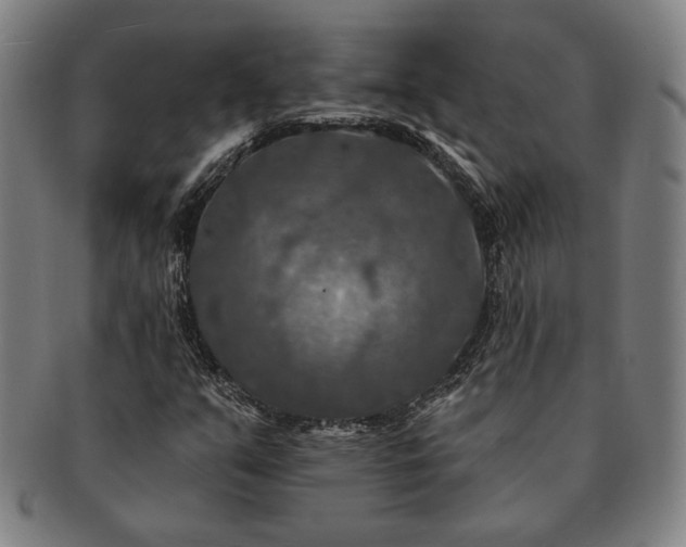 X0000091461351200708231308