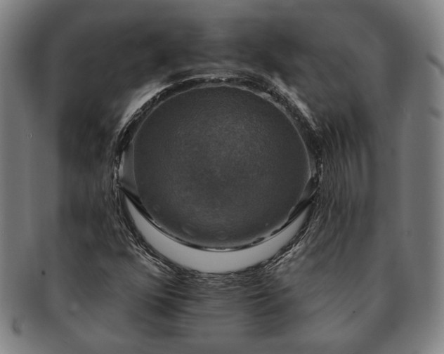 X0000091461352200708231308