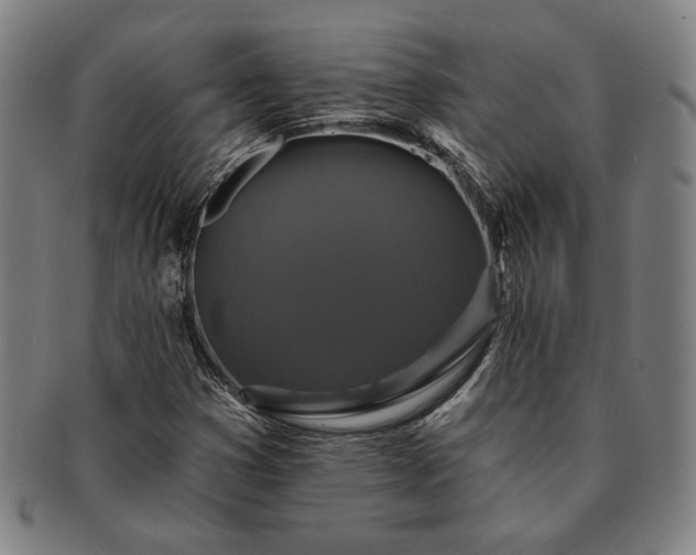X0000091461353200708231308