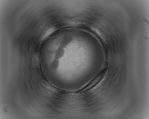 X0000091461354200708231308