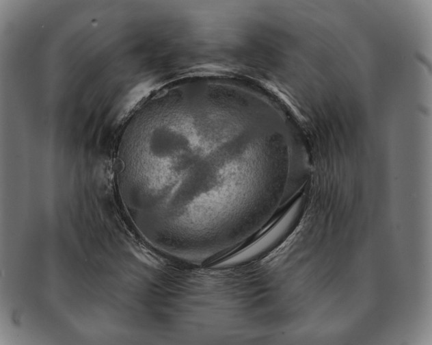 X0000091461355200708231308