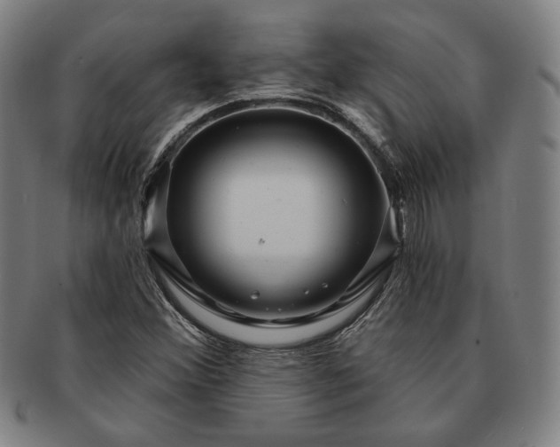 X0000091461356200708231308