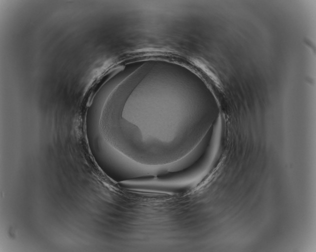 X0000091461357200708231308