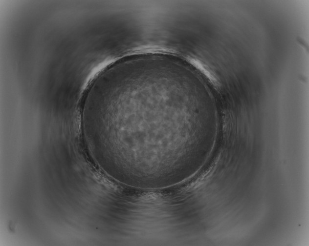 X0000091461358200708231308