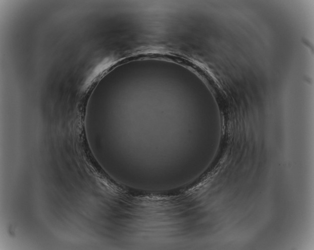 X0000091461359200708231308