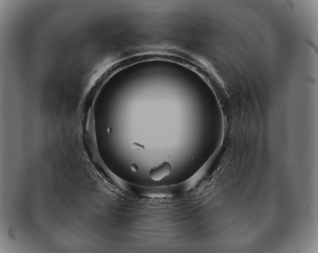 X0000091461360200708231307