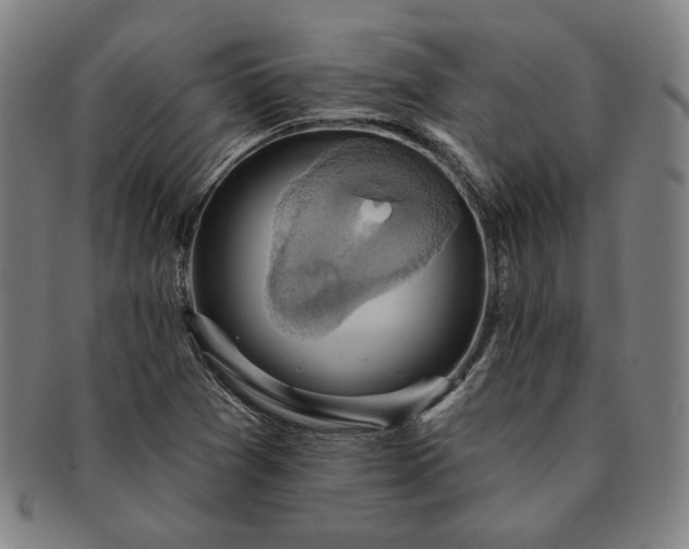 X0000091461361200708231307