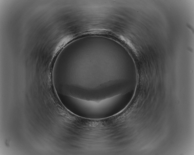 X0000091461362200708231307