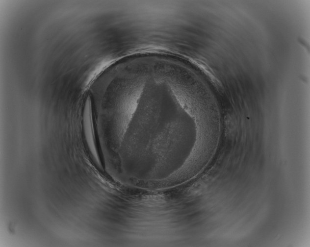 X0000091461363200708231307
