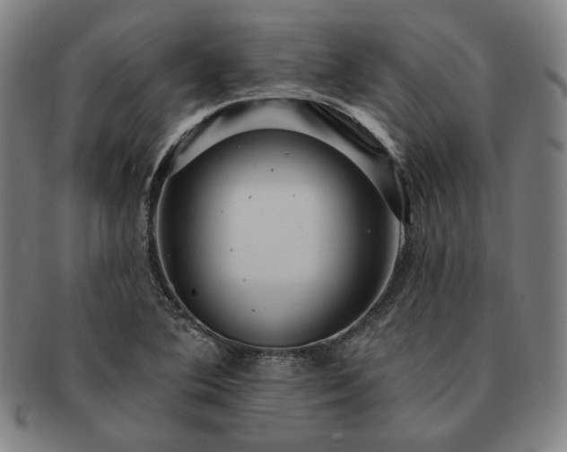 X0000091461364200708231307
