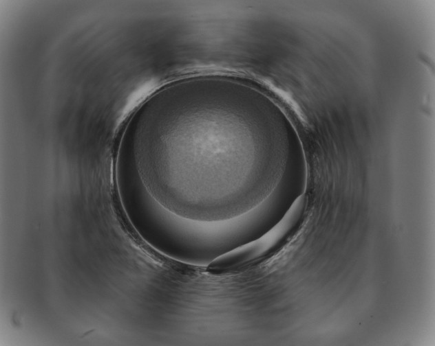 X0000091461365200708231307