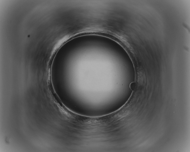 X0000091461366200708231307