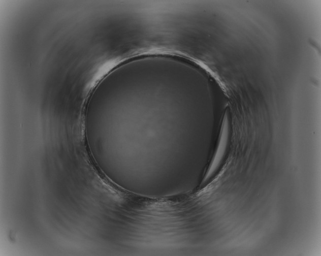 X0000091461367200708231307