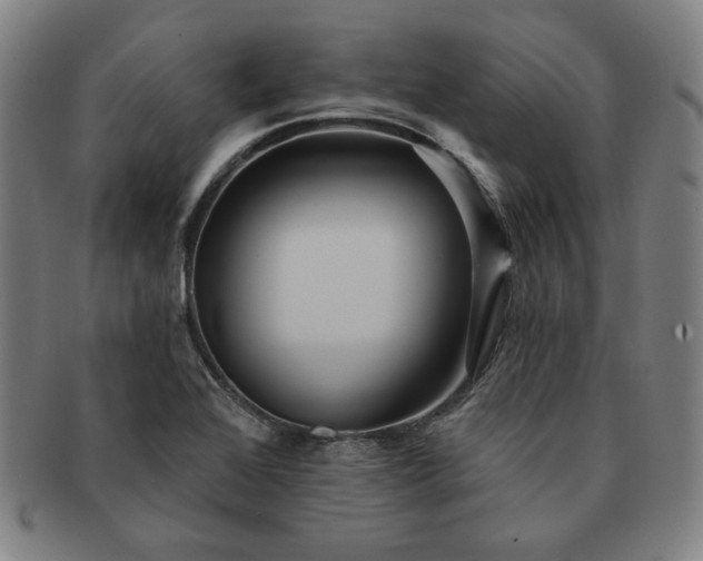 X0000091461368200708231307