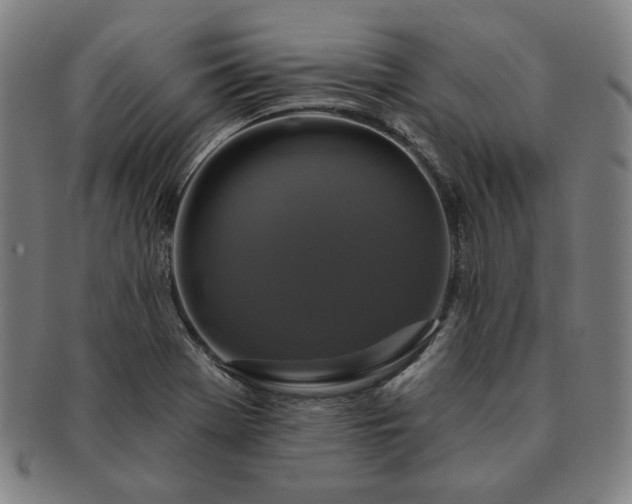 X0000091461369200708231307