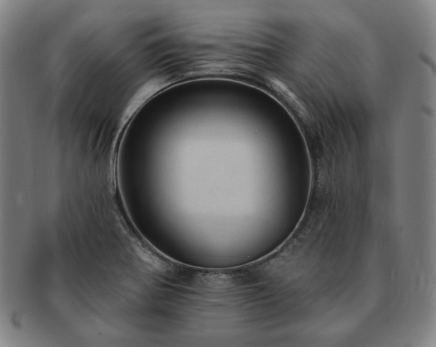 X0000091461370200708231307