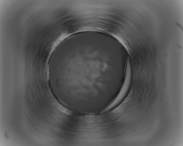 X0000091461371200708231307