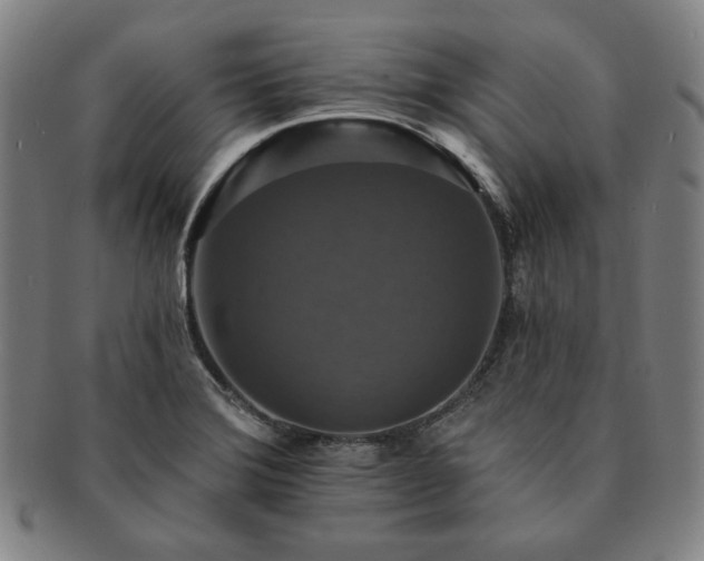 X0000091461372200708231307