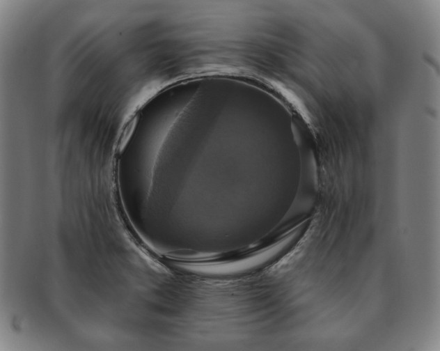 X0000091461373200708231307