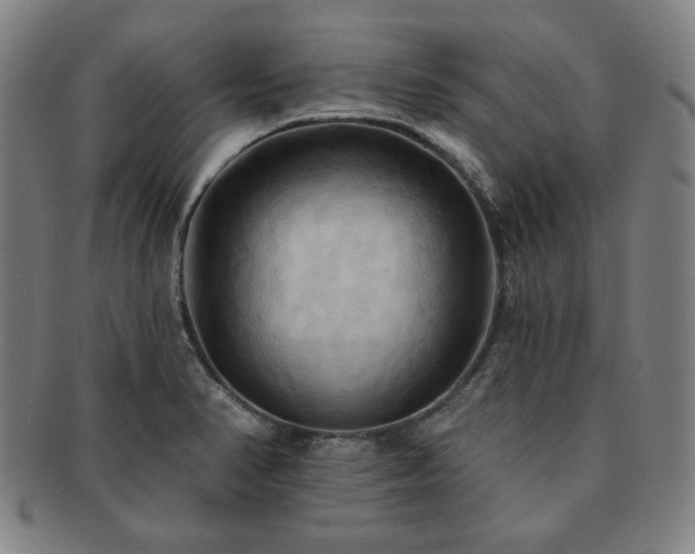 X0000091461374200708231307