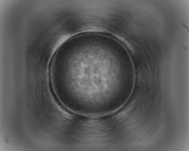 X0000091461375200708231307