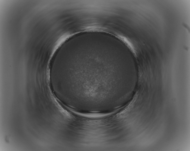 X0000091461376200708231307