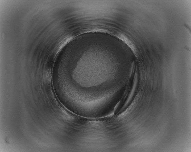 X0000091461377200708231307