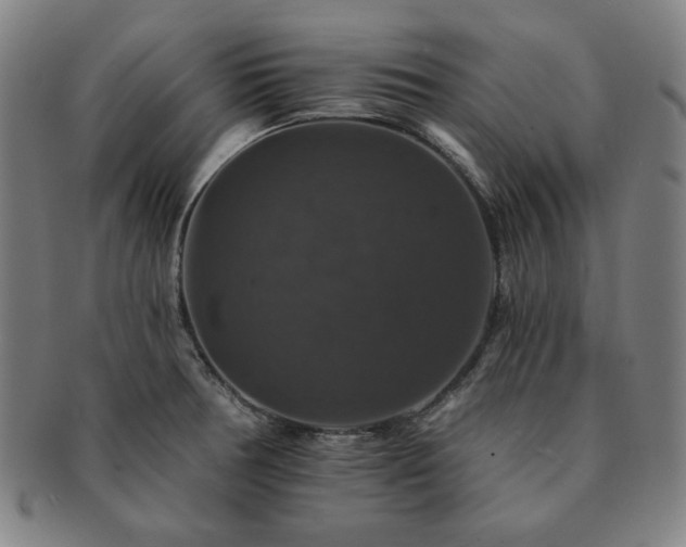 X0000091461378200708231307