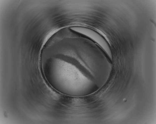 X0000091461379200708231307