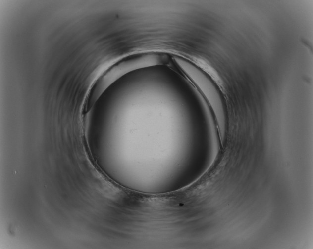 X0000091461380200708231307