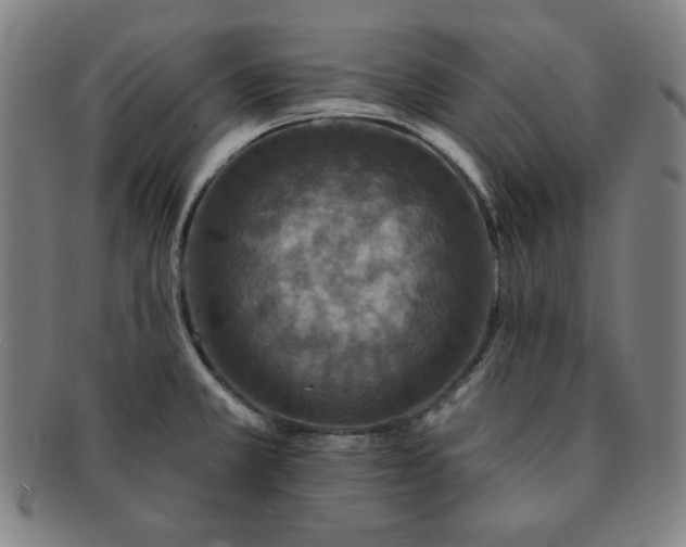 X0000091461381200708231307