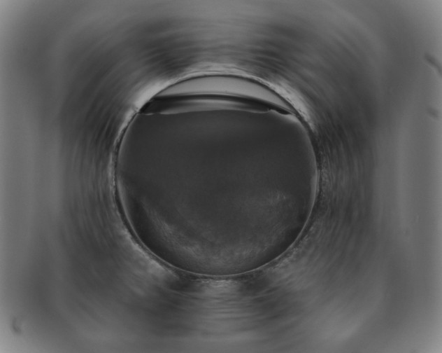 X0000091461382200708231307