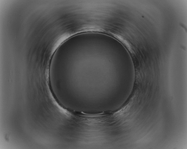 X0000091461383200708231307