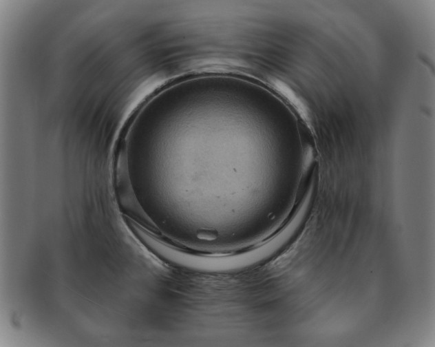 X0000091461384200708231307