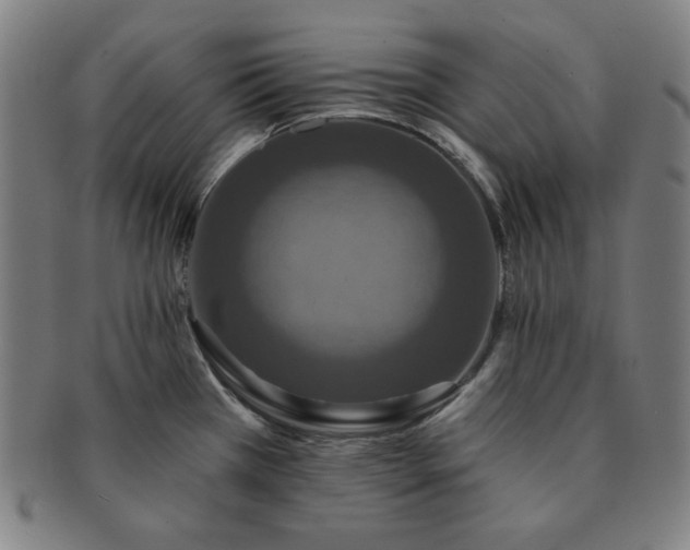 X0000091461385200708231307