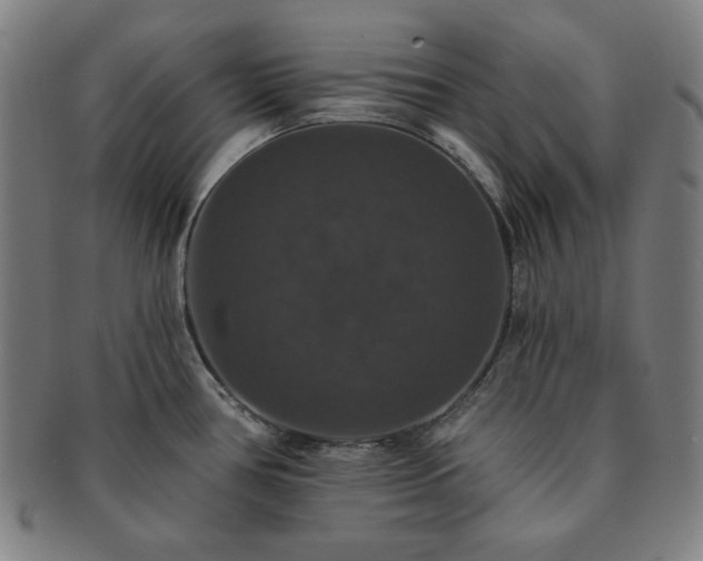 X0000091461386200708231307