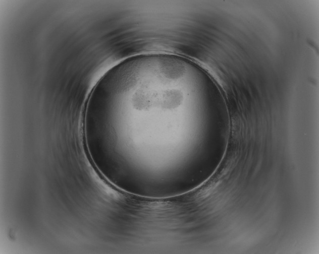 X0000091461387200708231307